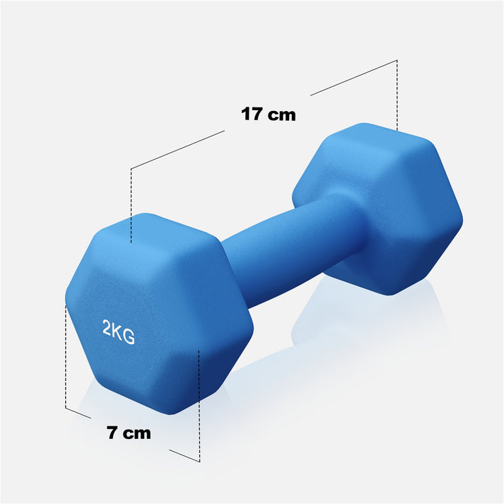 Vinyl halterset 2 x 2 kg