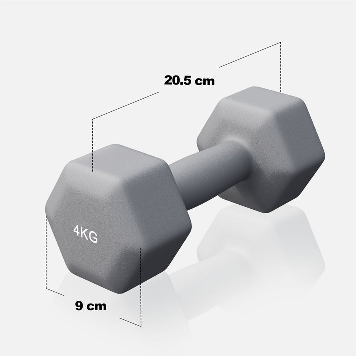 Vinyl halterset 2 x 4 kg