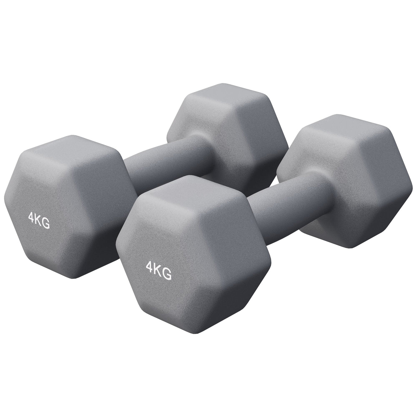 Vinyl halterset 2 x 4 kg