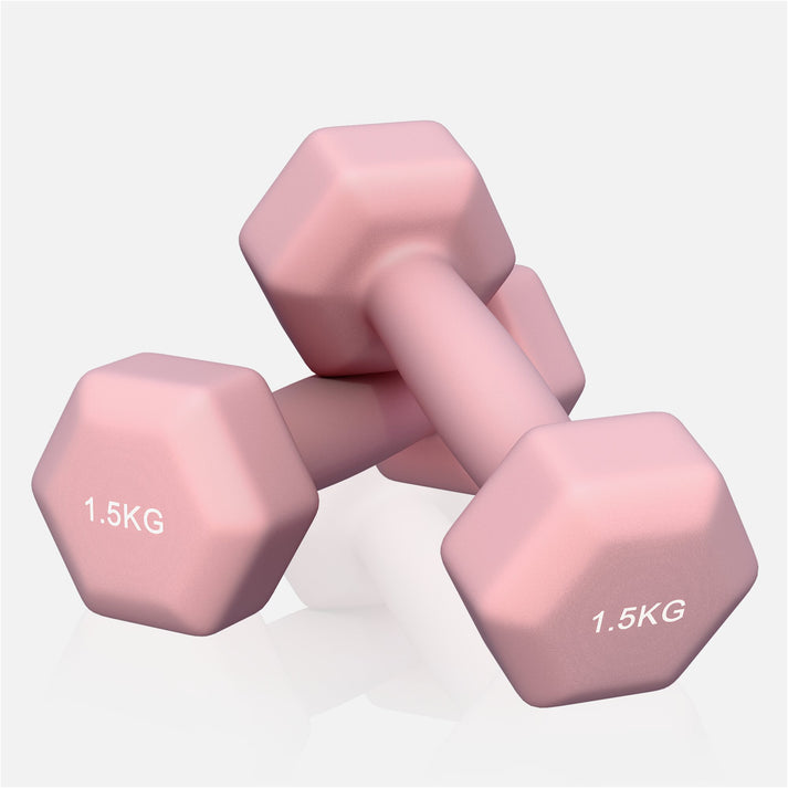 Vinyl halterset 2 x 1,5 kg