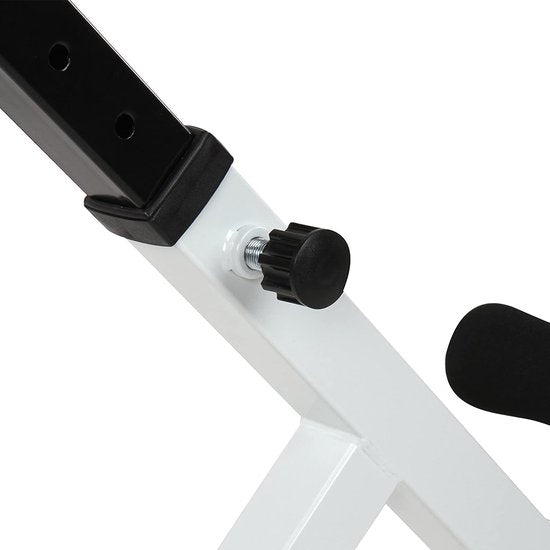 Physionics Hyperextensie Bank Rug- En Buiktrainer