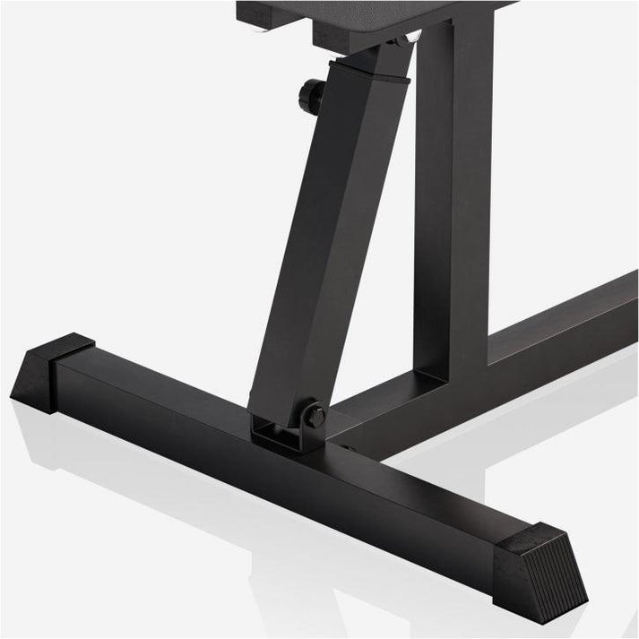 Gyronetics multifunctionele verstelbare Fitnessbank