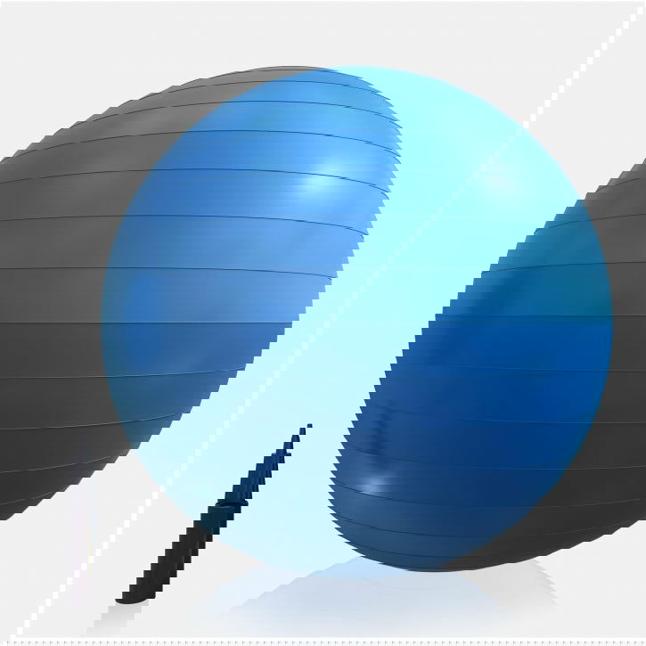 Gorilla Sports Fitnessbal Blauw 65 cm incl. pomp