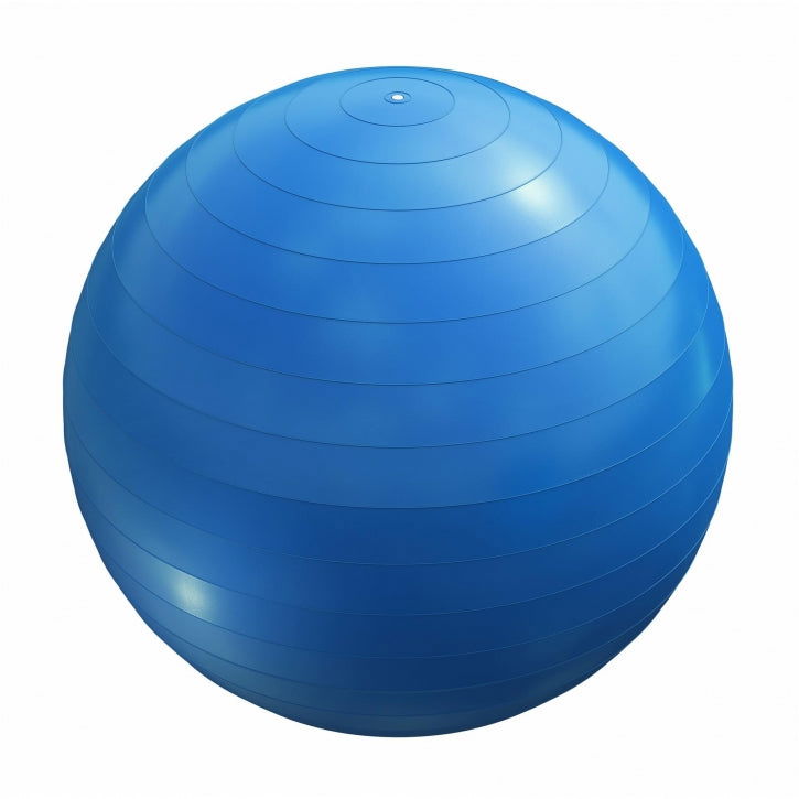 Fitnessbal Blauw 75 cm incl. pomp – Gorilla Sports
