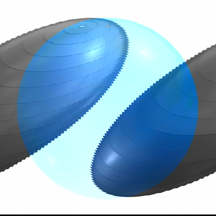 Gorilla Sports Fitnessbal Blauw 75 cm incl. pomp