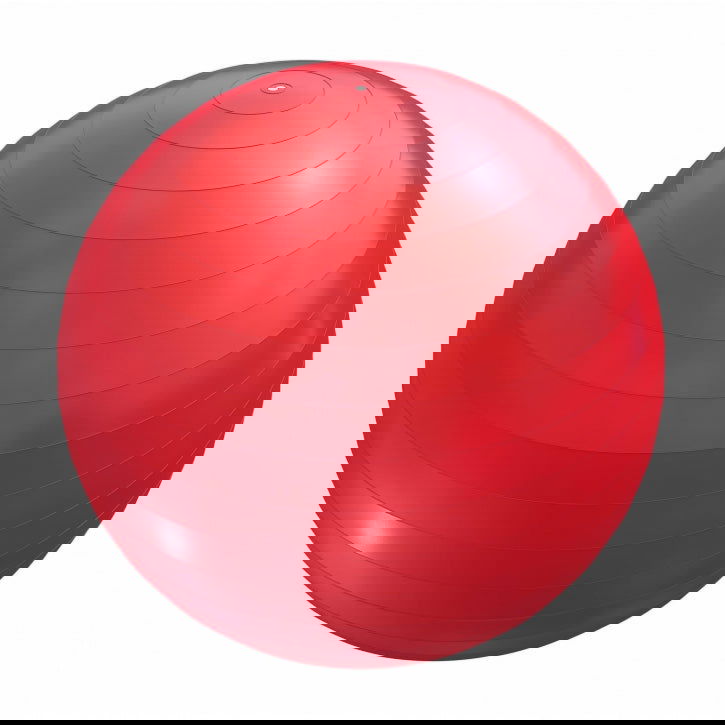 Gorilla Sports Fitnessbal Rood 65 cm incl. pomp