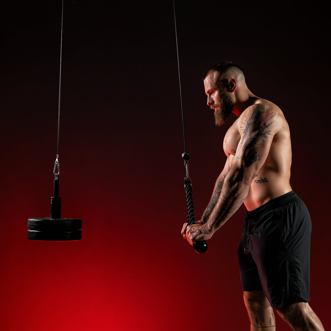 Lat Pulley (dakmontage)