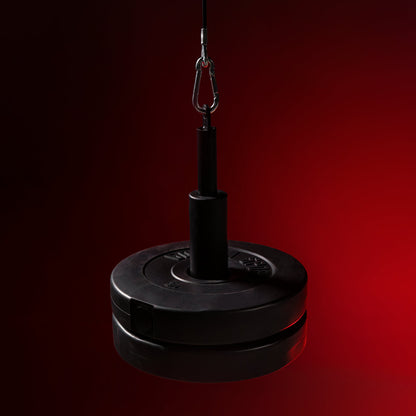 Lat Pulley (dakmontage)