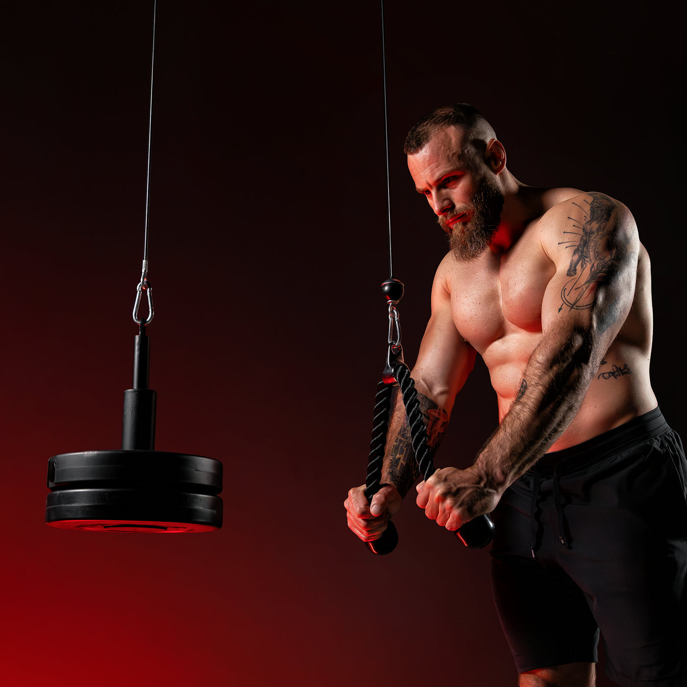 Lat Pulley (dakmontage)