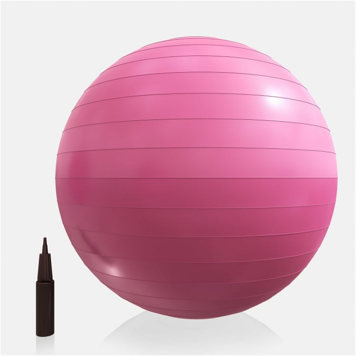 Fitnessbal Roze 65 cm incl. pomp