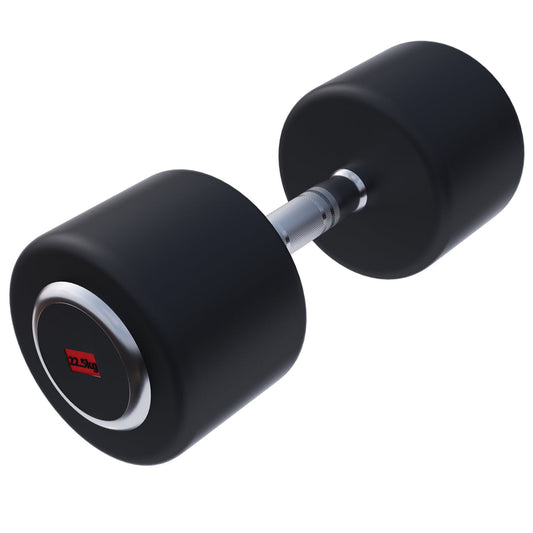 Professionele dumbbell 22,5 kg