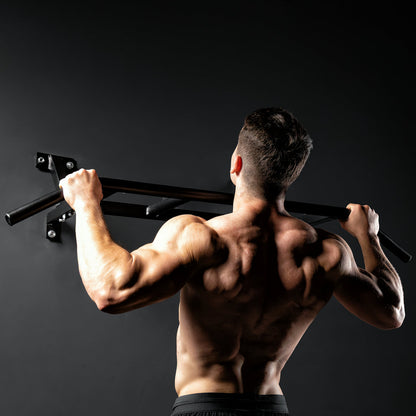 Professional pull-up bar (wall mounted)
