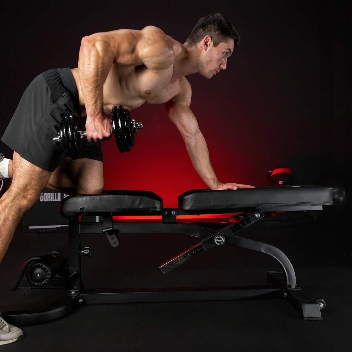 Professionele fitnessbank met curlfuncties