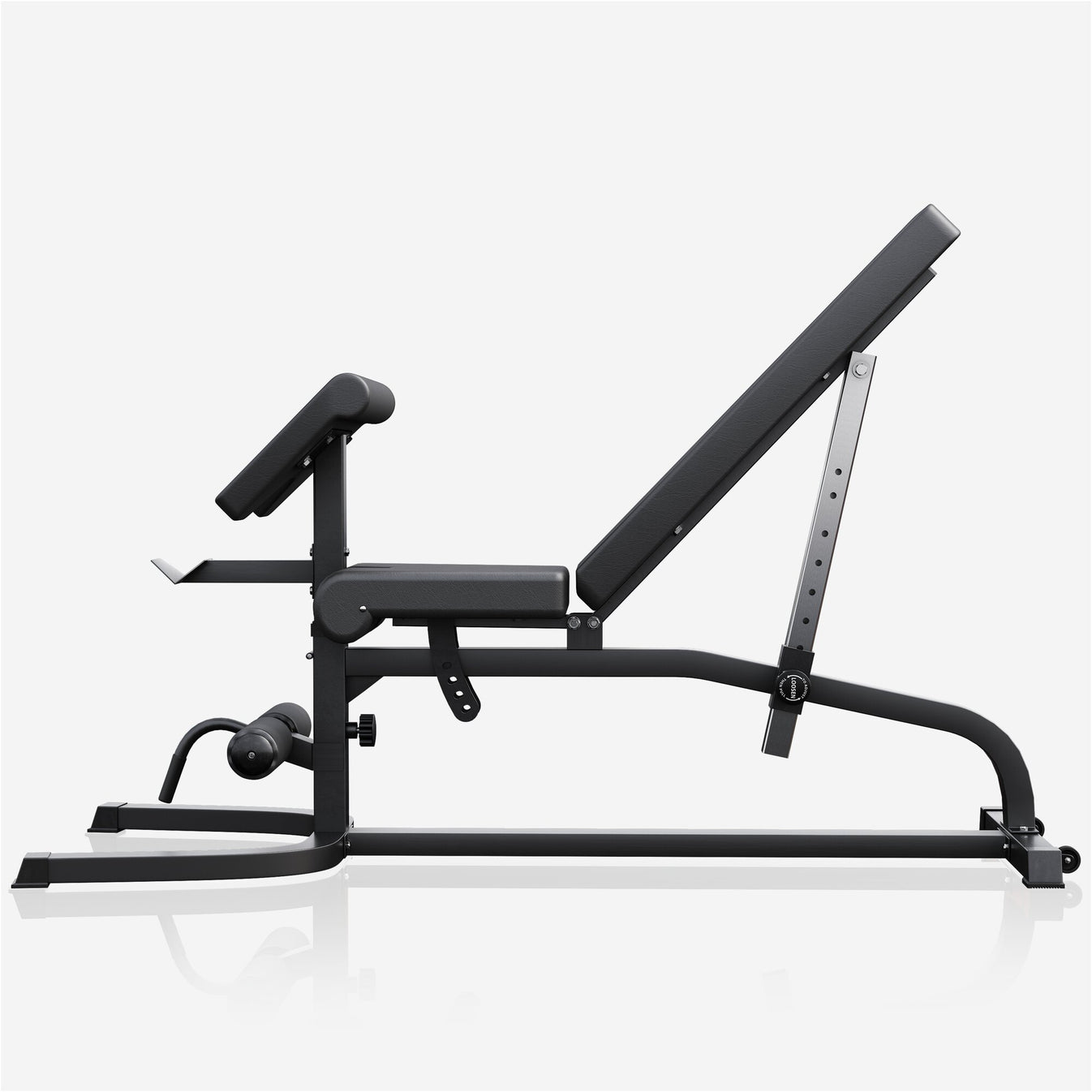Banc de fitness professionnel avec fonctions curl