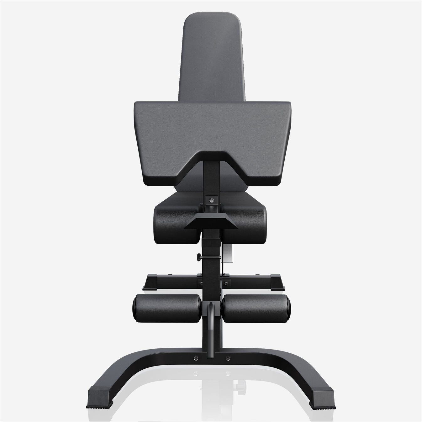 Banc de fitness professionnel avec fonctions curl