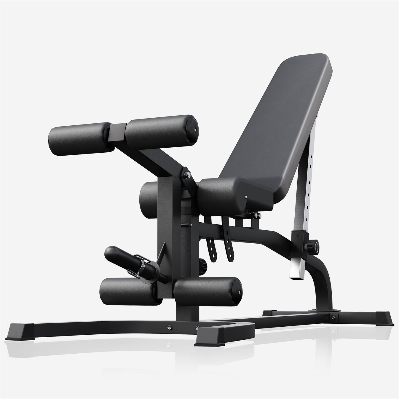 Banc de fitness professionnel avec fonctions curl