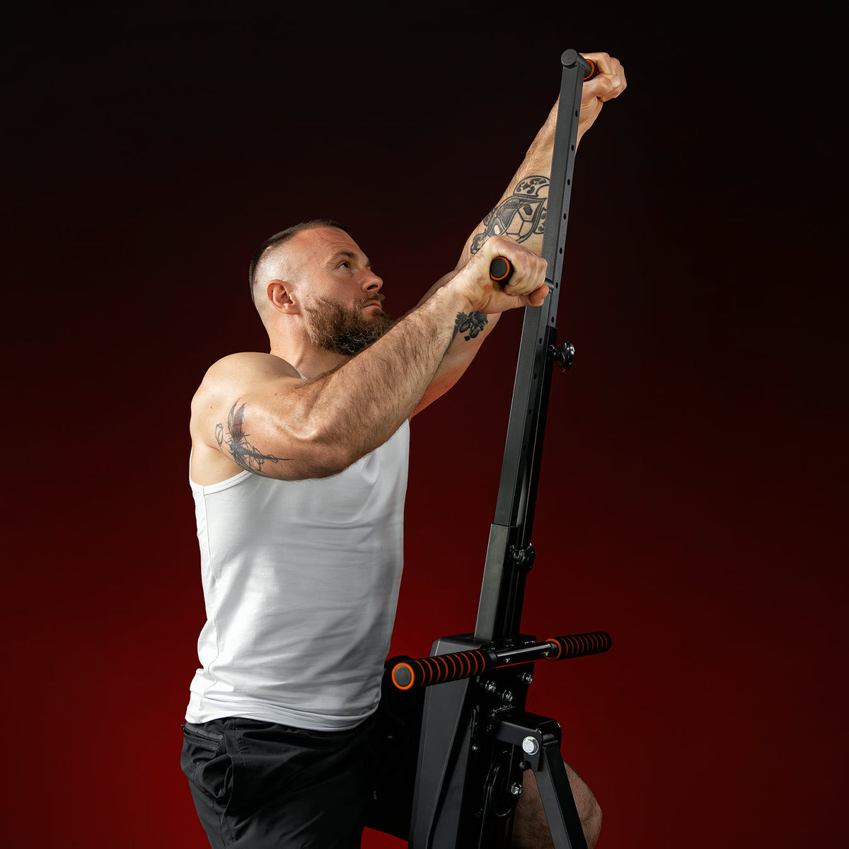 Vertical Gym