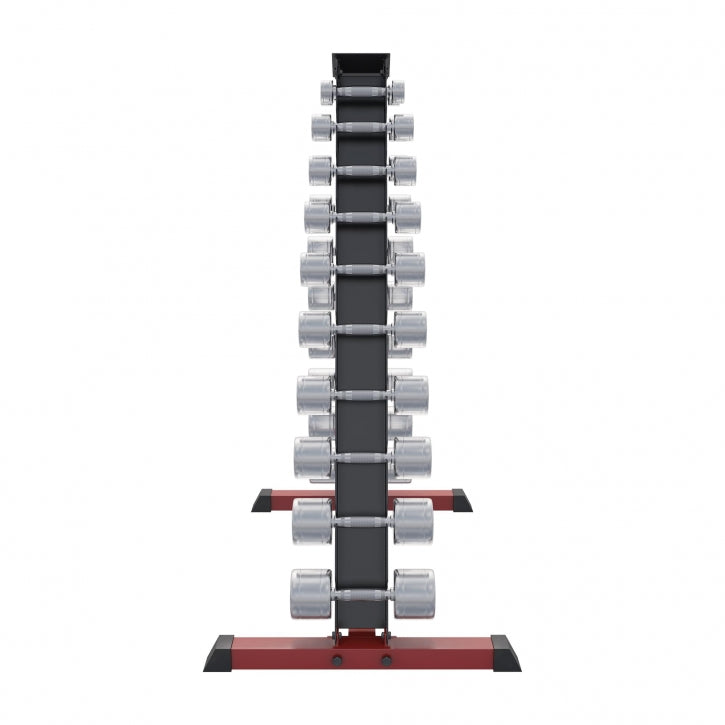 Dumbell standaard met 110 kg Chrome dumbells