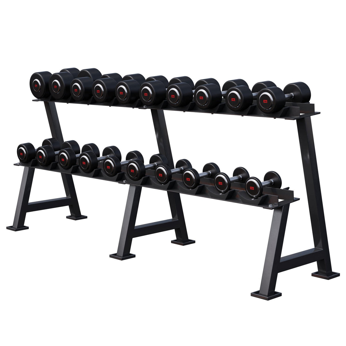 Support d'haltères professionnel avec haltères de 325 kg