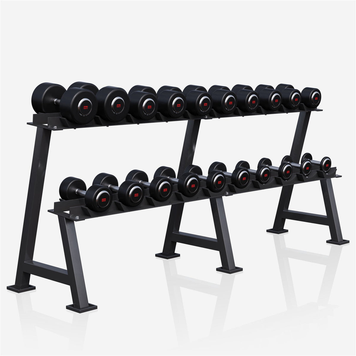 Support d'haltères professionnel avec haltères de 325 kg