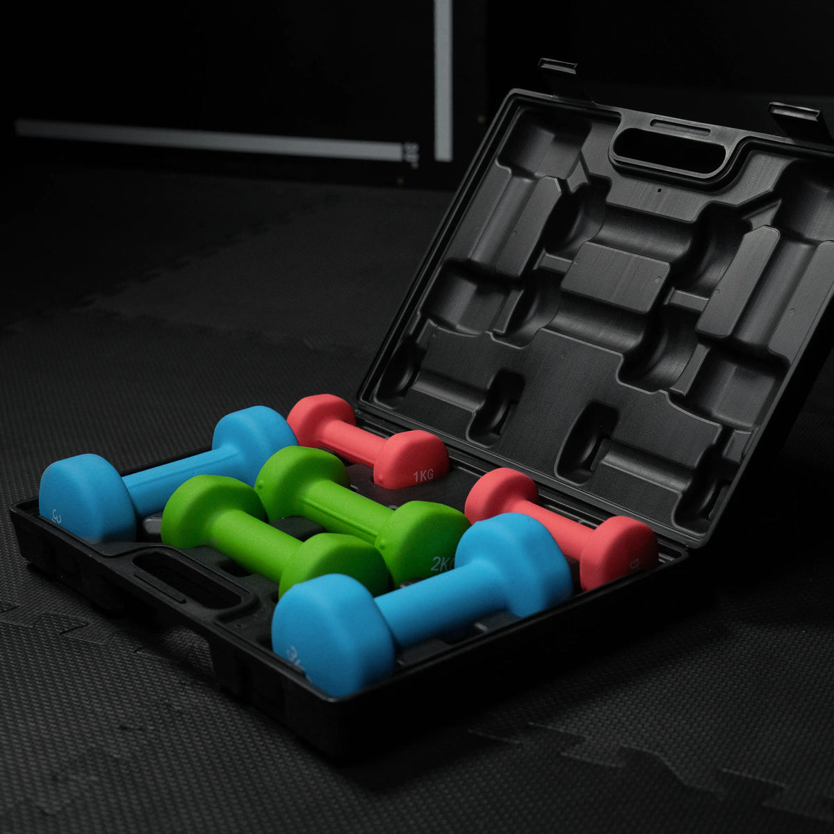 Aerobic Dumbbell Case 12 kg