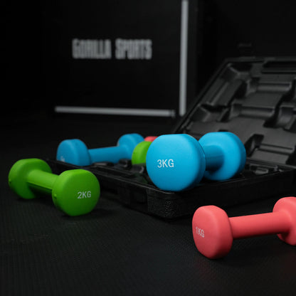 Aerobic Dumbbell Case 12 kg