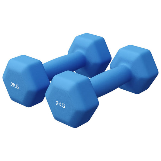 Vinyl halterset 2 x 2 kg