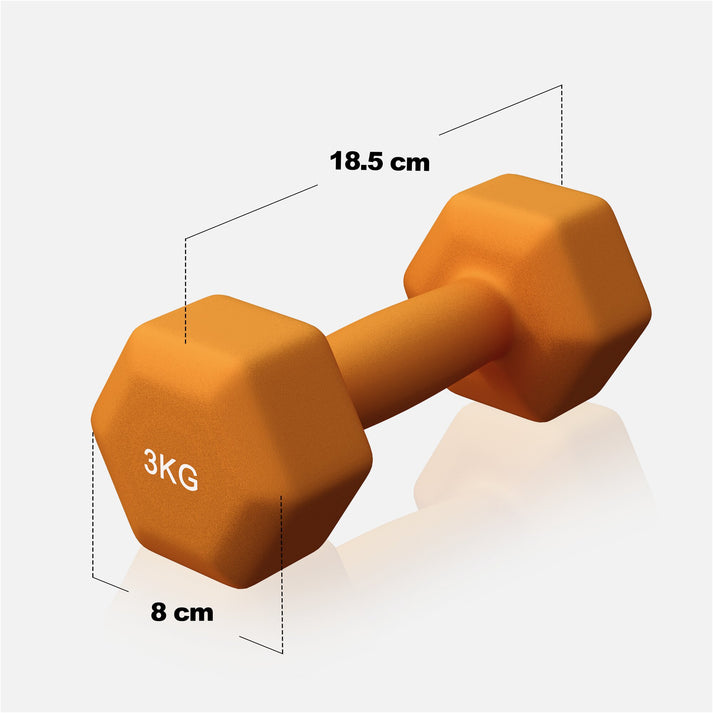 Vinyl halterset 2 x 3 kg