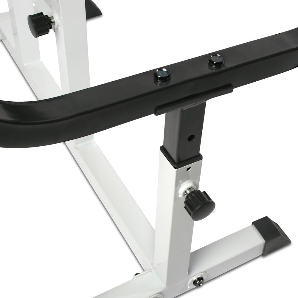Physionics Biceps curlbank