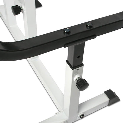 Physionics Biceps curlbank