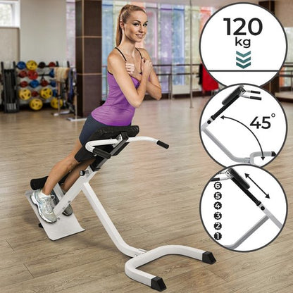 Physionics Hyperextensie Bank Rug- En Buiktrainer