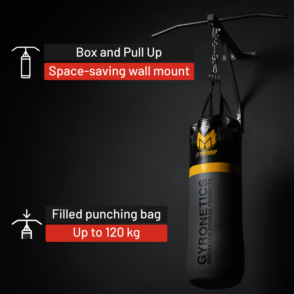 2-in-1 Punching Bag and Pull-up Bar 