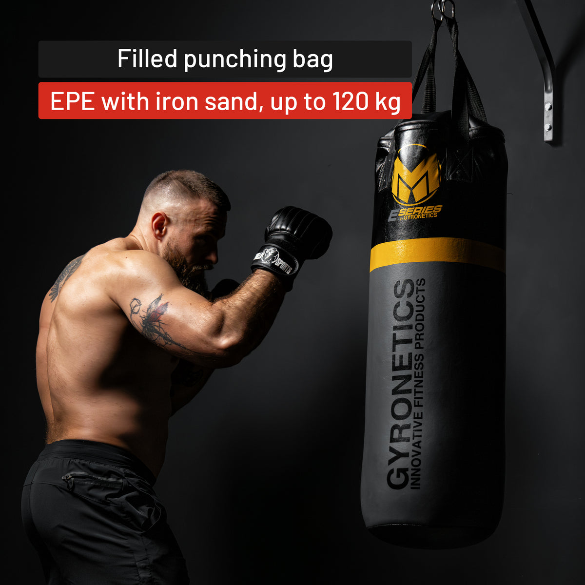 2-in-1 Punching Bag and Pull-up Bar 