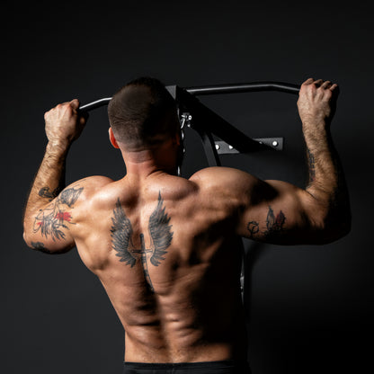 2-in-1 Punching Bag and Pull-up Bar 