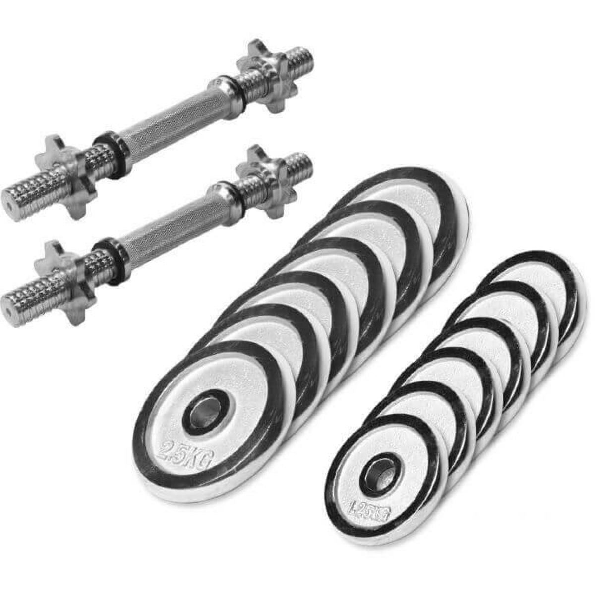 Gorilla Sports Dumbellset 27,5 kg chroom