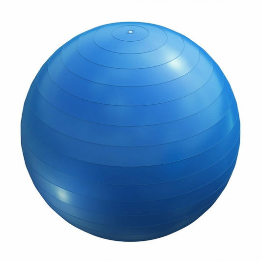 Gorilla Sports Fitnessbal Blauw 55 cm incl. pomp