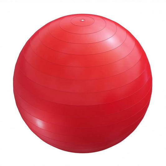 Gorilla Sports Fitnessbal Rood 55 cm incl. pomp