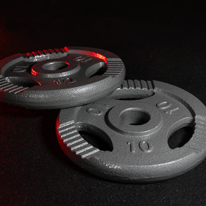 Weight Plate 20 kg Gripper Cast Iron Silver - 30/31 mm
