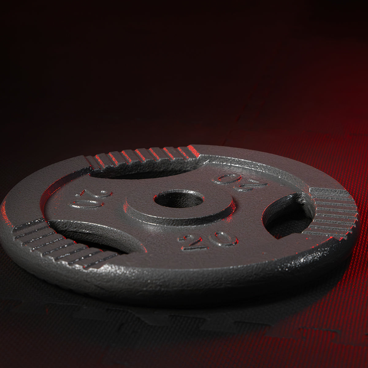Weight Plate 20 kg Gripper Cast Iron Silver - 30/31 mm