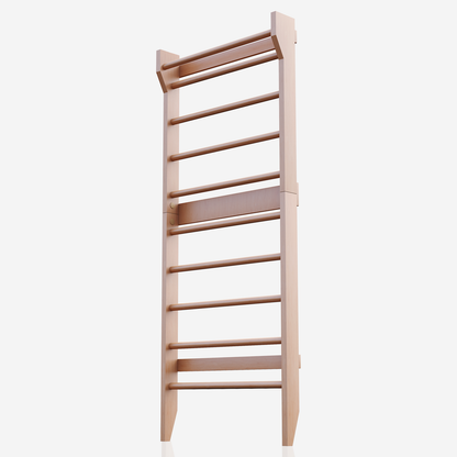 Structure d'escalade d'intérieur en bois Physionics