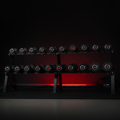 Professionele dumbbell 20 kg