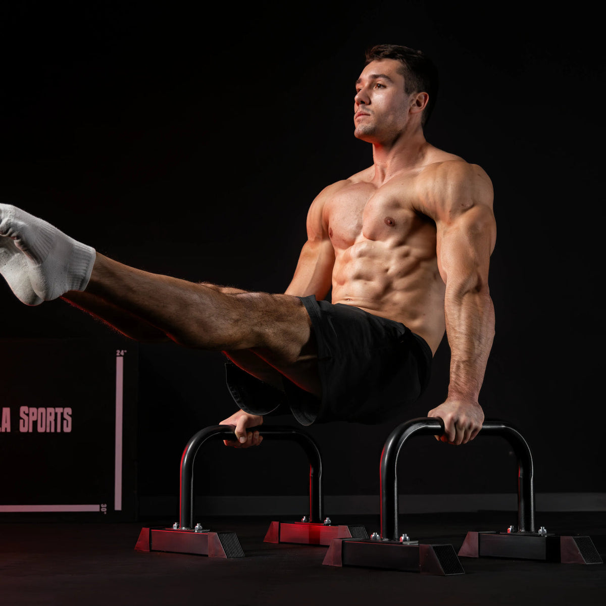Push Up bars blauw
