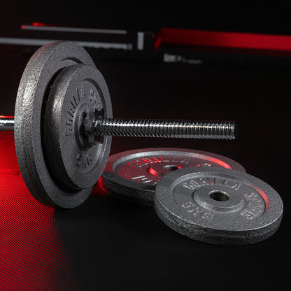 Halterschijf 20 kg gietijzer