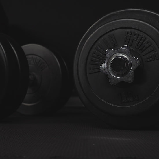 Dumbellset 30 kg kunststof 